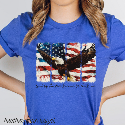 America Land of the Free -  DTF