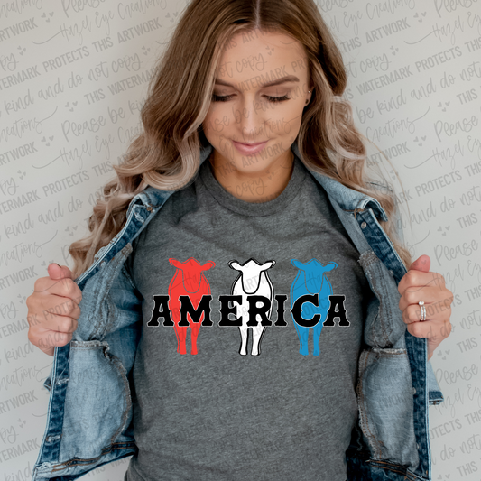 America - DTF
